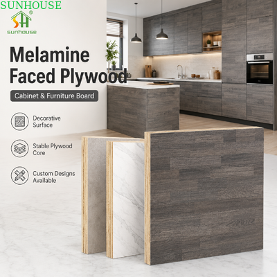 Panel kayu lapis melamin untuk lemari dapur kamar mandi kesombongan lemari pakaian dan furnitur interior lembab